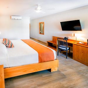 Chambre Supérieure Lit King-Size